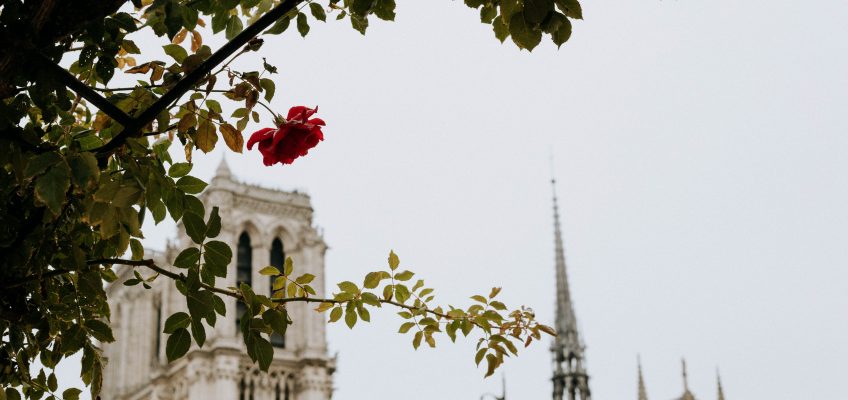 A Prayer for Notre Dame in Paris – Une Prière pour Notre Dame en Paris