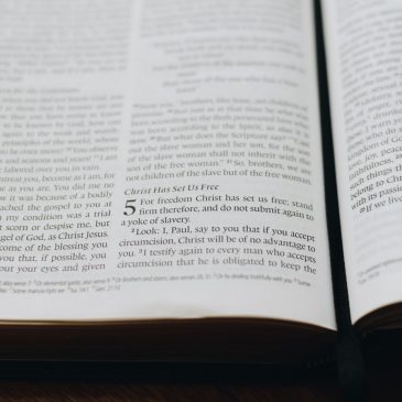 Sunday of the Word of God—a renewed emphasis on scripture