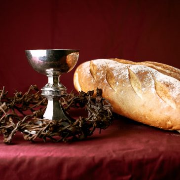 Why communion ministers serve — a guide for trainers