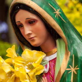 Faith seeks reason