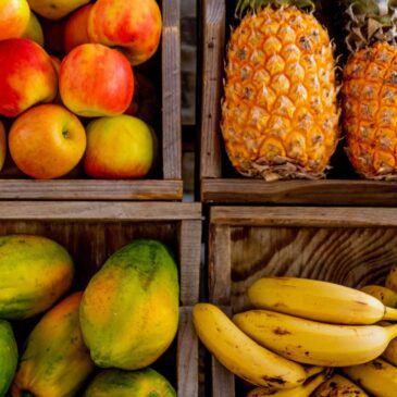 The fruit of the kingdom